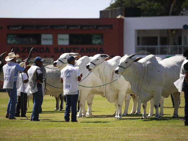 ABCZ faz lançamento da 85ª edição da ExpoZebu