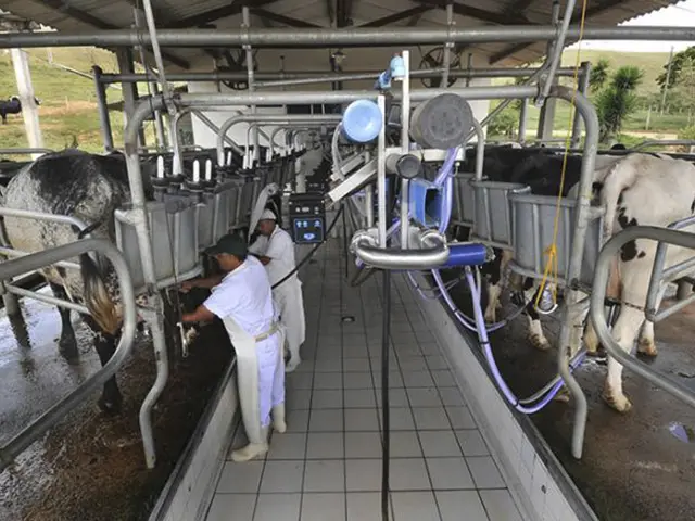 Embrapa e Lactalis estudam parceria no desenvolvimento da pecuária leiteira nacional