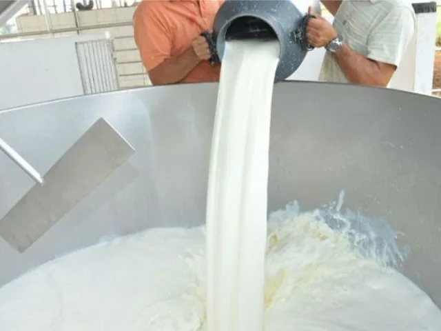 Setor leiteiro de RO inicia nova fase em busca de mercado internacional para produtos lácteos