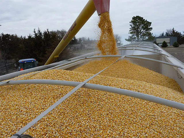 Boletim Agropecuário de junho aponta queda no preço do milho e feijão