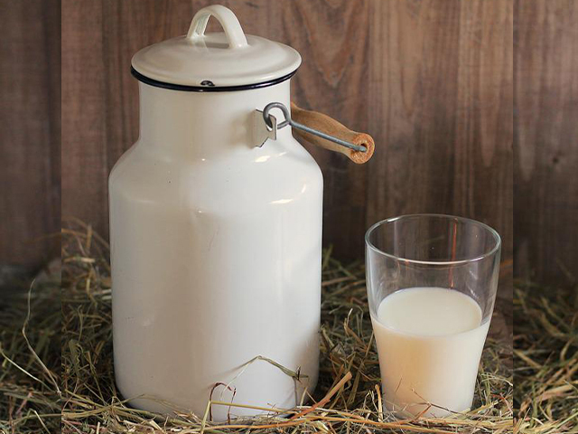 Preço do leite pago ao produtor Cepea-Brasil avançou 11,93%