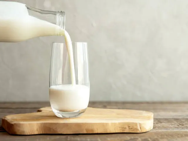 Conseleite/PR: projeção de queda de 2,07% no preço do leite entregue em outubro