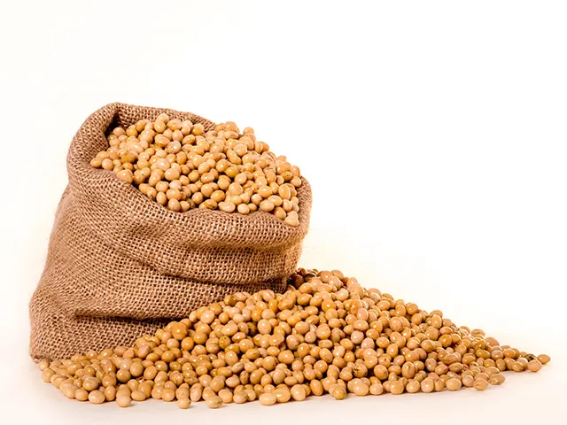 Safra de grãos é estimada em 313 milhões de toneladas impulsionada pela soja