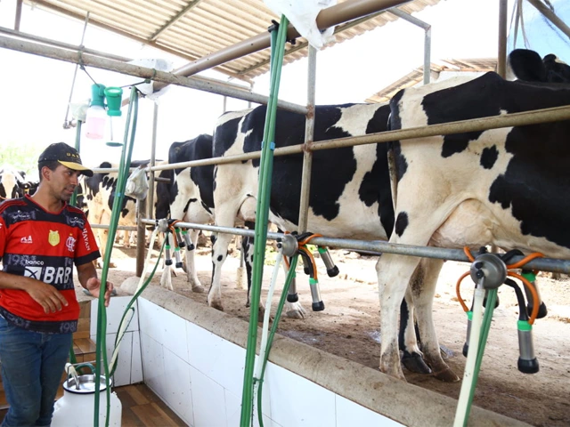 Sergipe fecha 1° trimestre de 2023 com alta na aquisição de leite