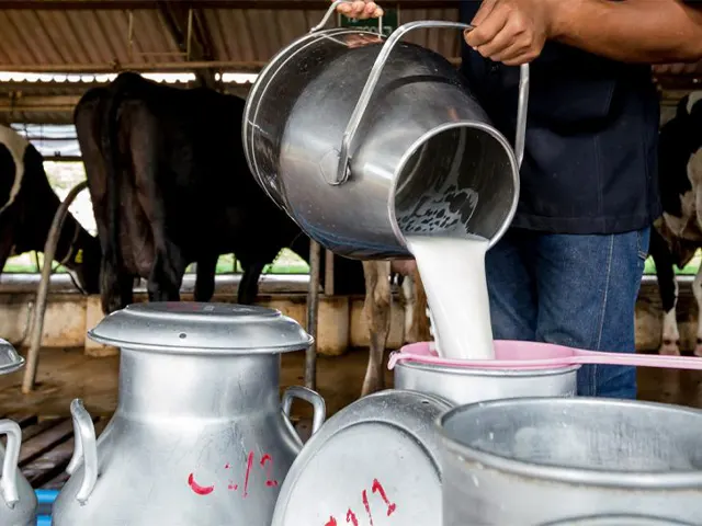 Faesp trabalha para garantir a rentabilidade dos produtores de leite paulistas