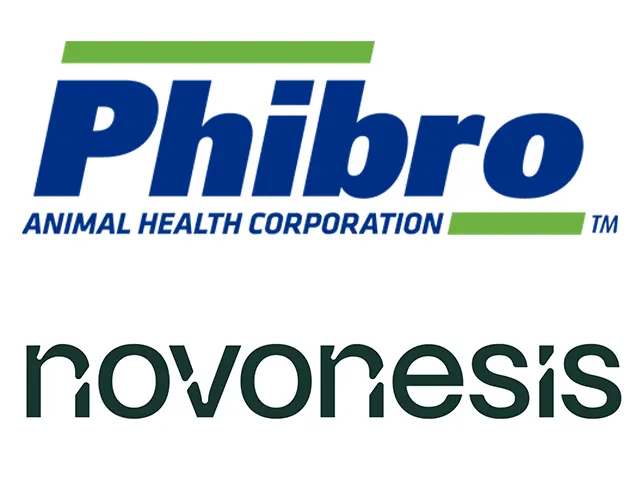 Phibro e Novonesis anunciam parceria para oferecer biossolução nutricional a bovinos de corte e leite