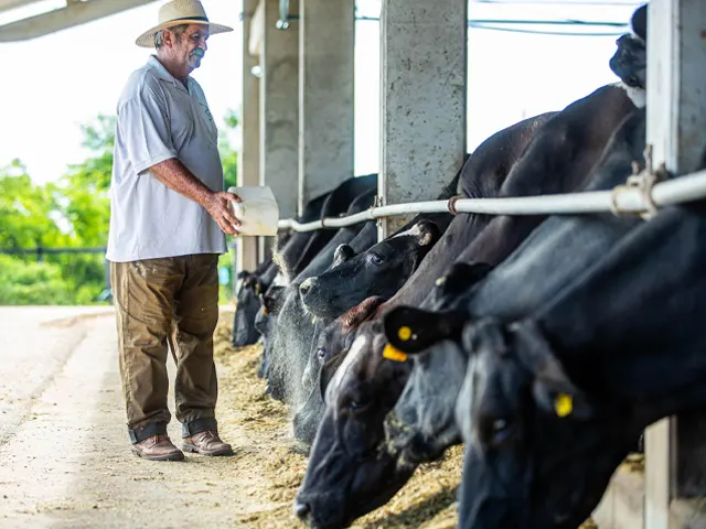 Alvoar Lácteos inaugura fábrica de ração em Sergipe