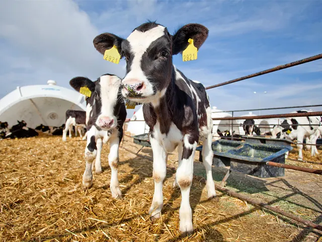 Contaminações em áreas rurais impactam saúde animal e lucratividade das propriedades