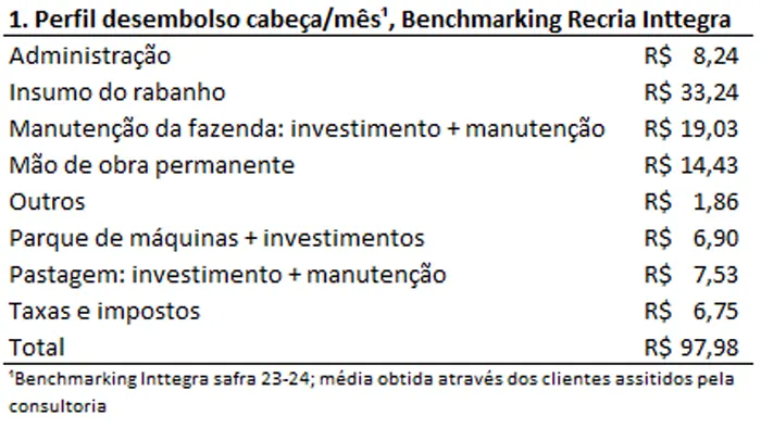 Qual o ganho de peso diário ideal durante a recria de bovinos de corte?