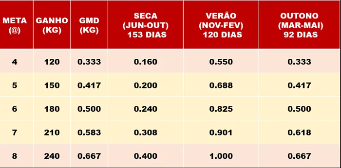 Qual o ganho de peso diário ideal durante a recria de bovinos de corte?