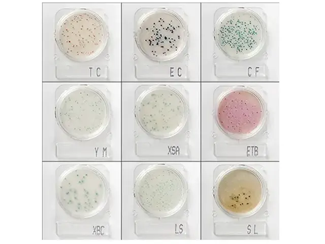 Placa Pronta para Análise Microbiológica Compact Dry